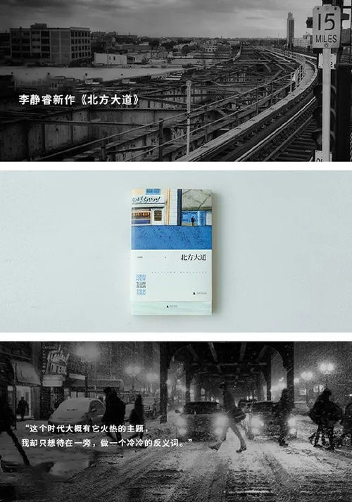 “把《月亮与六便士》穿在身上” 文化品牌如何变身创意产品