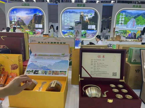 商洛文旅闪耀丝路盛会后，数字文化奇旅不停歇！
