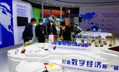 我校数字文化创意力作惊艳亮相第五届进博会，彰显创意设计新高度